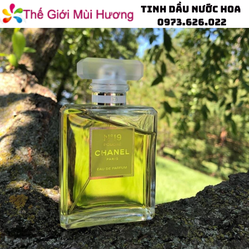 Tinh dầu nước hoa Chanel N19 - Thế Giới Mùi Hương